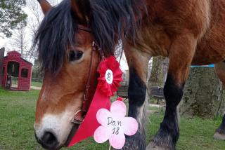 4444