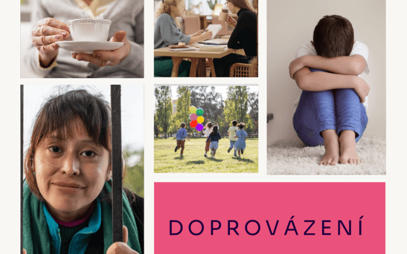 Doprovázení pěstounů